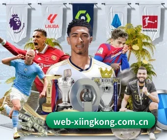 web-xiingkong.com.cn APP（xingkong）